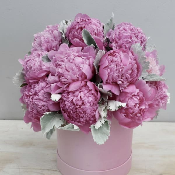 Round pink hatbox arrangement of bright pink peonies with soft silvery foliage