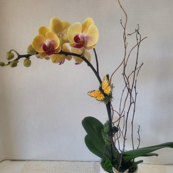 Single Stem Yellow