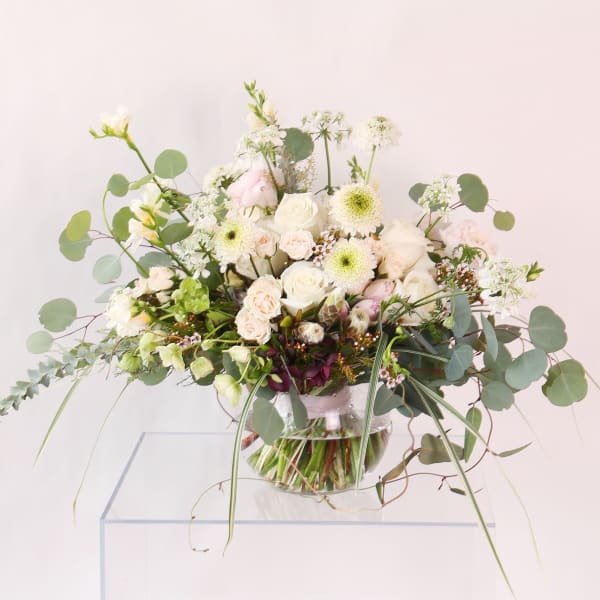 Ivory rose Garden