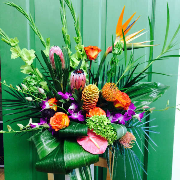 Winter Tropics