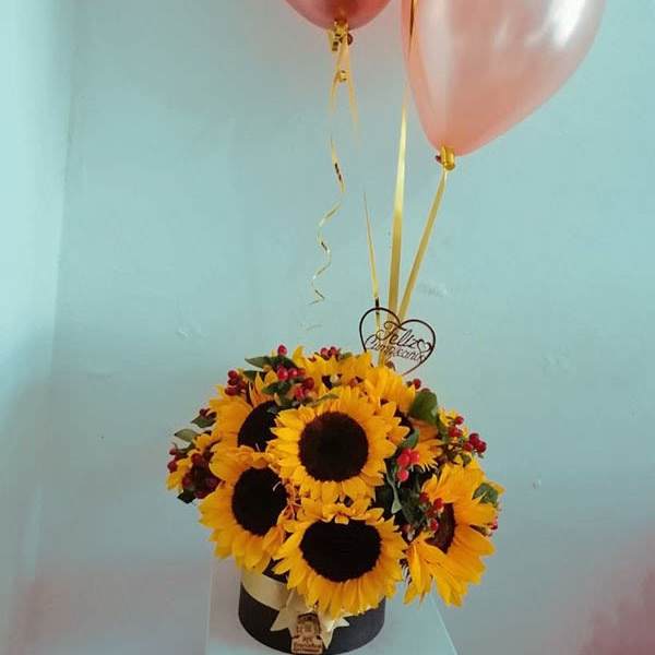 sunflower grande
