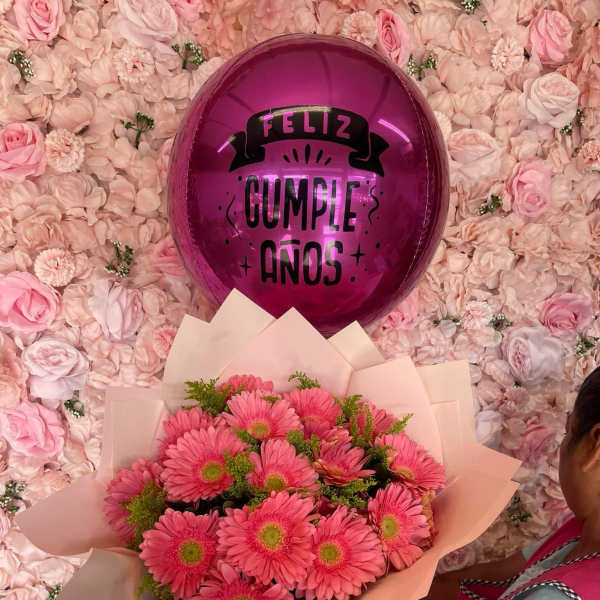 rosa ping