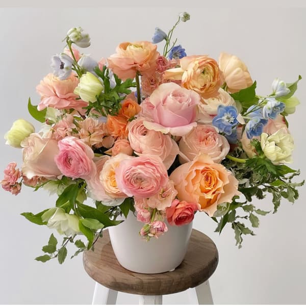 The Little Darlings Arrangement.