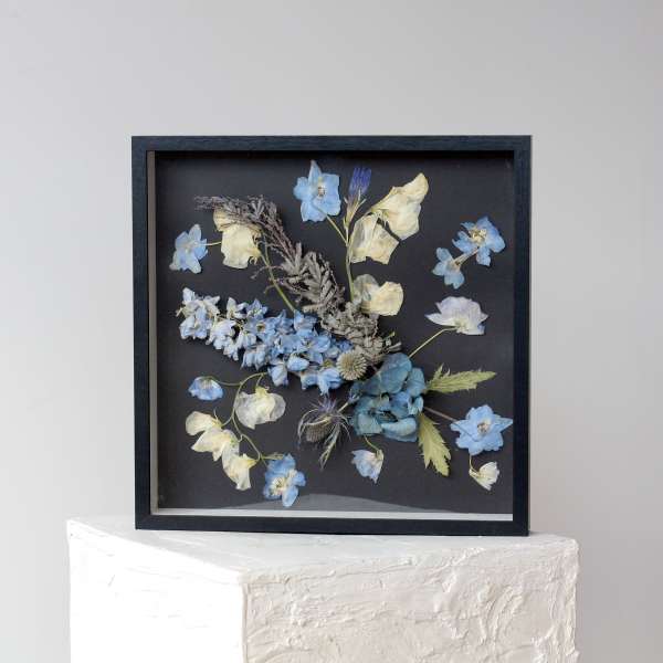 Framed pressed flower arrangement with blue and cream blossoms