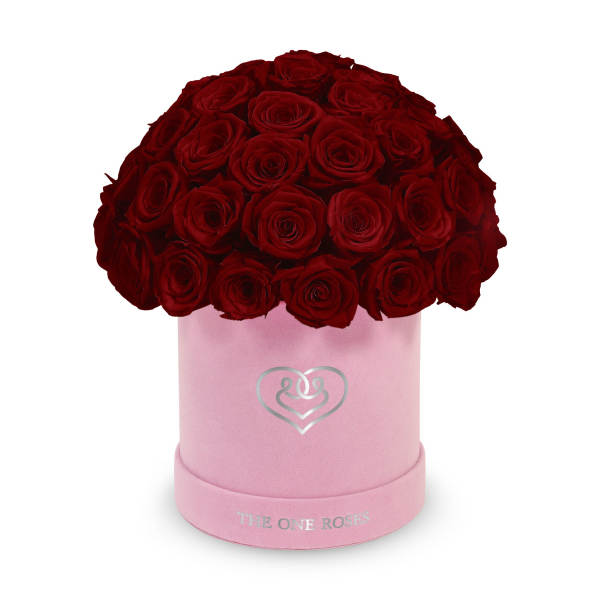 Red roses arranged in a pink round box