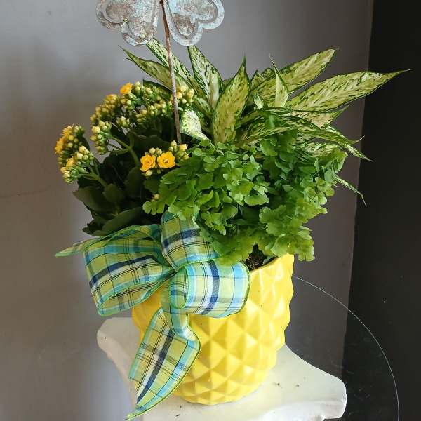 Mixed plants PL106