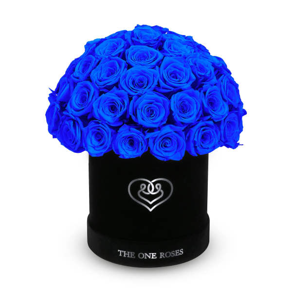 Blue roses arranged in a black round box