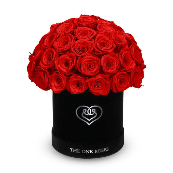 Red roses arranged in a black cylindrical box