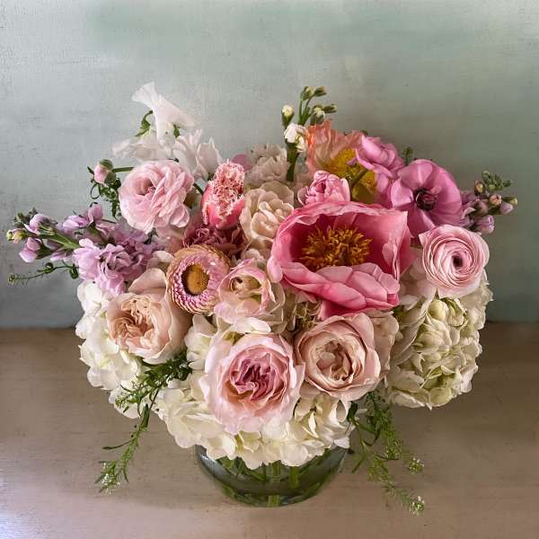 The Paula Peony