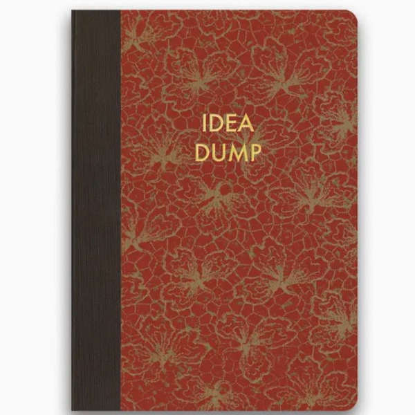 Red patterned notebook with gold text reading "IDEA DUMP"