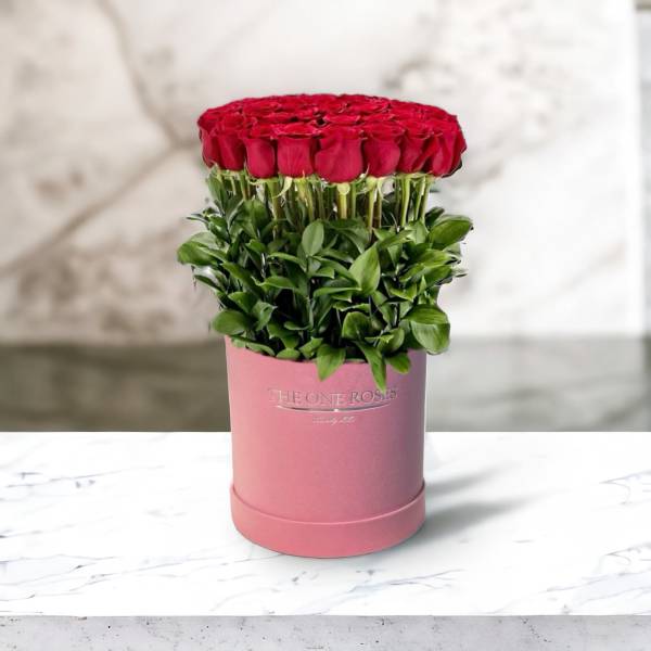 Red roses arranged in a pink cylindrical box