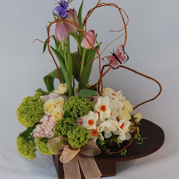 Spring Blooms