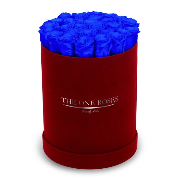 Blue roses in a red round box