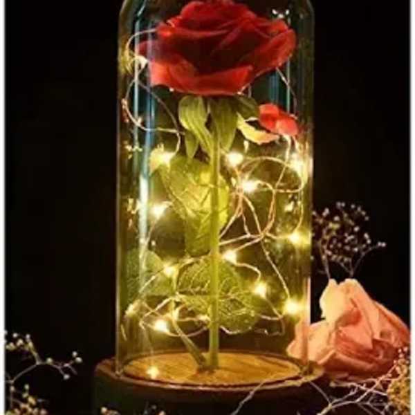 Single red rose under a glass dome with string lights