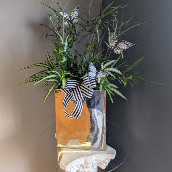 Fern + butterflies