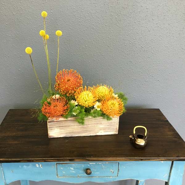 Gold Bloom