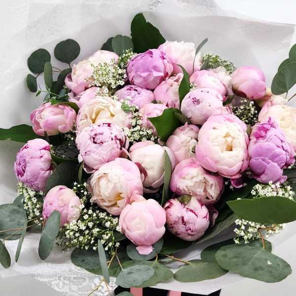 Peony Cloud