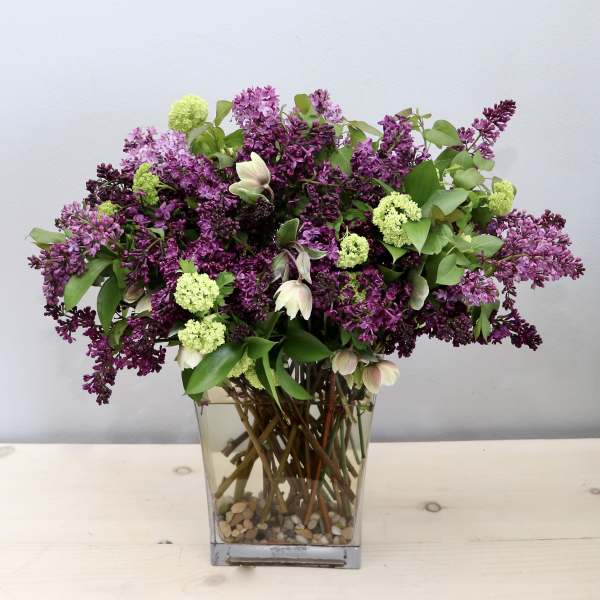 Purple lilac bouquet in a clear square vase with green blooms