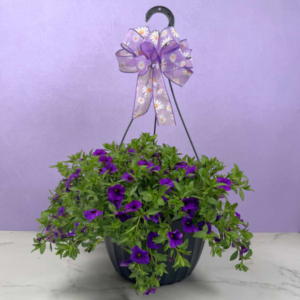 MAY DAY SALE - Million Bells Hanging Basket