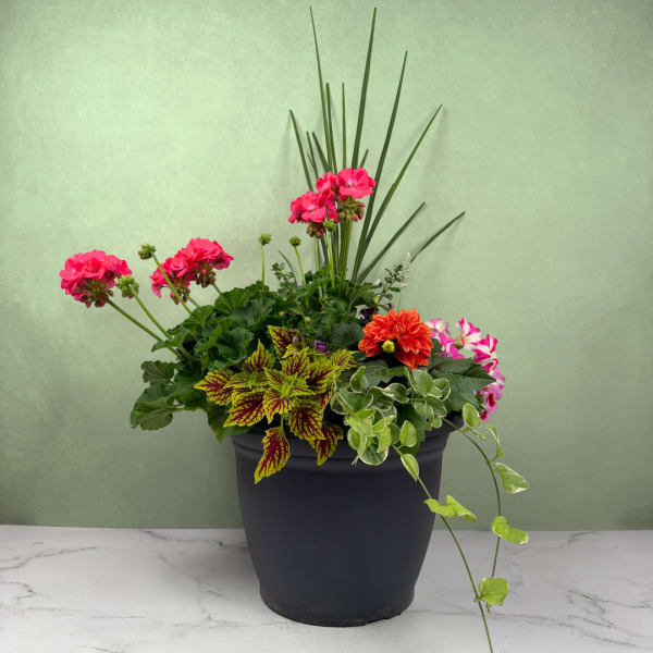Blossoming Outdoor Patio Pot
