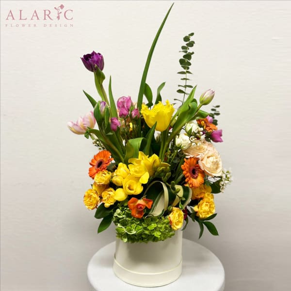 The Spring Box
