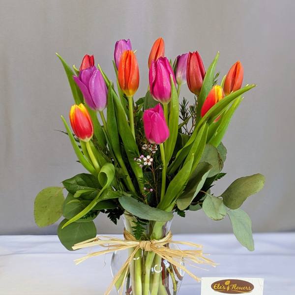 Tulip Bliss