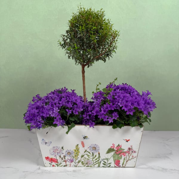 Graceful Grove Planter