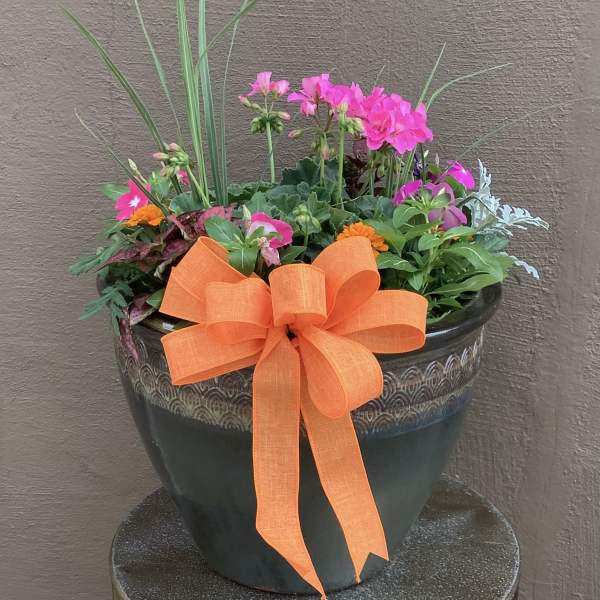 Large Glazed patio pot