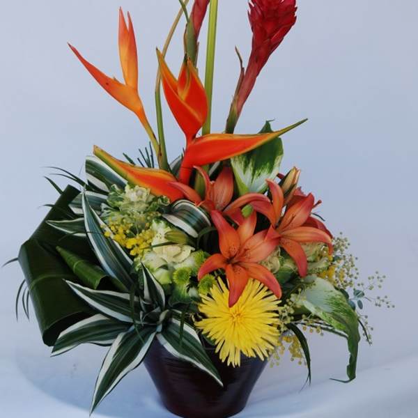 Aloha
