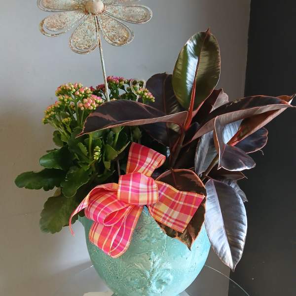 Mixed plants in large pot #802