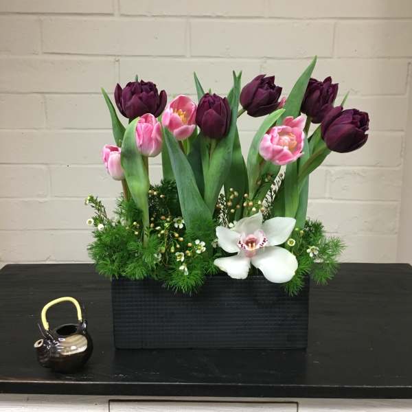 Tulips Galore!