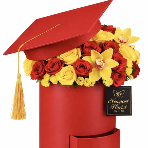 Crimson & Gold Honors Collection NF-Y49