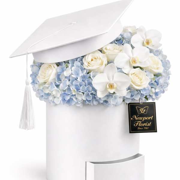 Cloud Nine Graduate NF-Y51