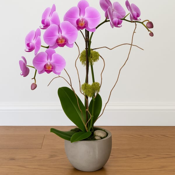 Pink orchid plant in a gray pot with decorative branches