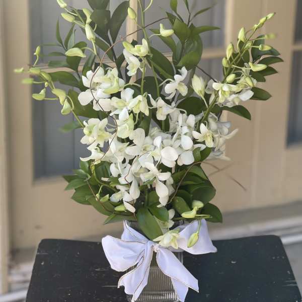 White orchid arrangement in a glass vase with a white ribbon