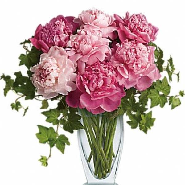 Perfect Peonies