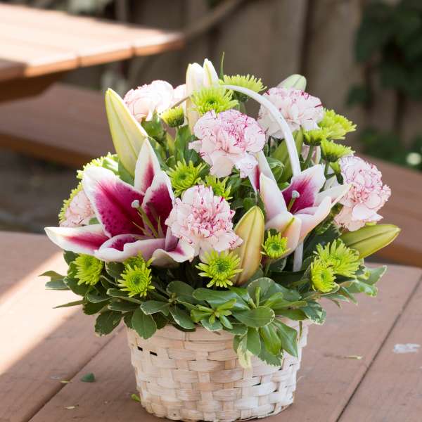 Basket arrangement of pink carnations, lilies, and green mums