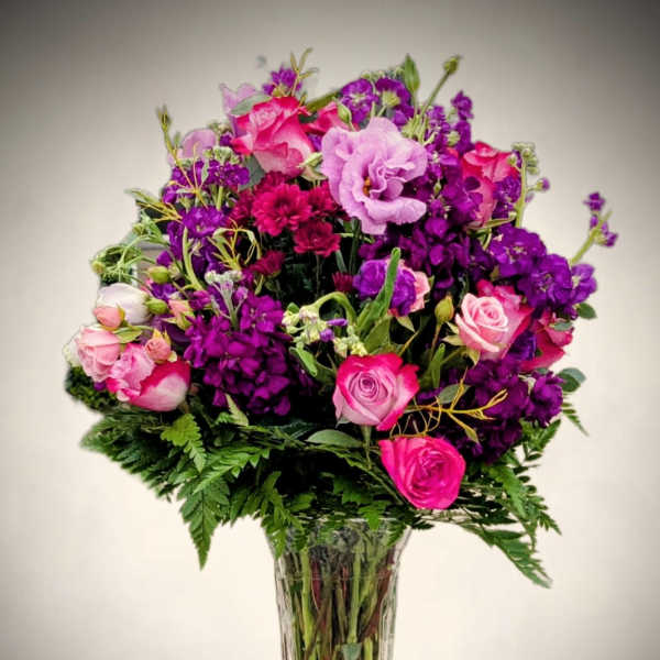 Fuchsia Bliss