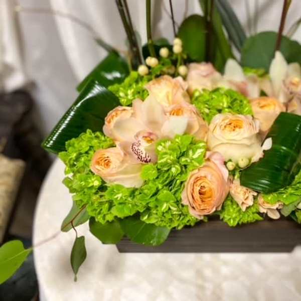 GARDEN ROSES AND MORE