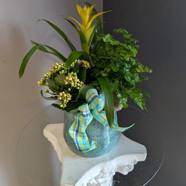 Plant mix (blue ceramic)