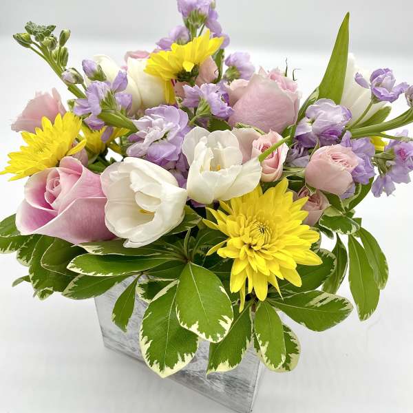 Pink and white tulips with yellow daisies in a square vase