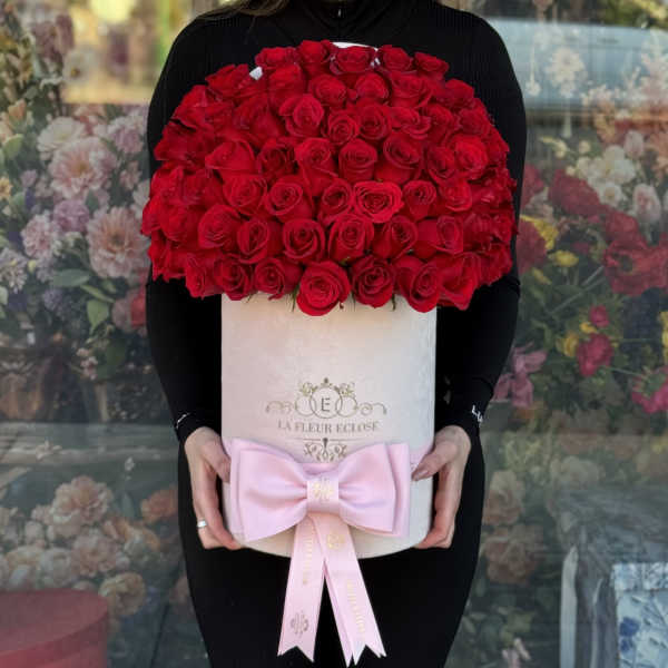 Roses and a Bow V