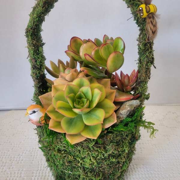 Moss Basket
