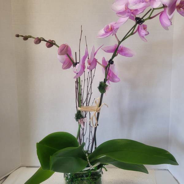 Sweet Lavender in Glass