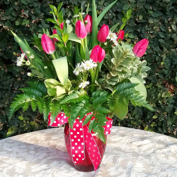 Pink tulips and white daisies in a red vase with a polka-dot ribbon