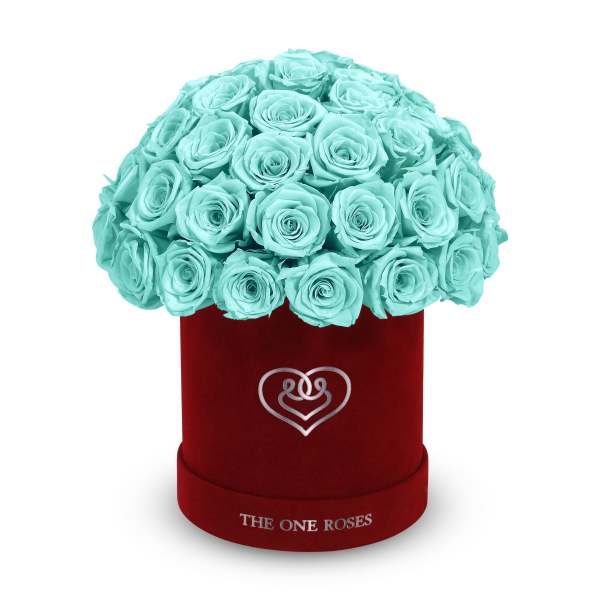 Turquoise roses arranged in a red velvet hat box