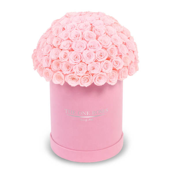 Pink roses arranged in a round hat box