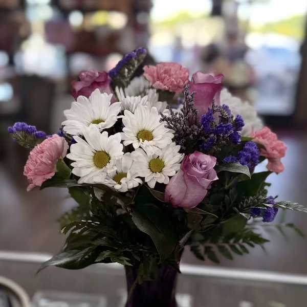 Daisy Delight