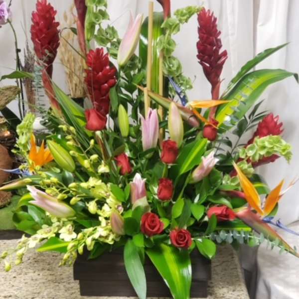 Tropical Treasure