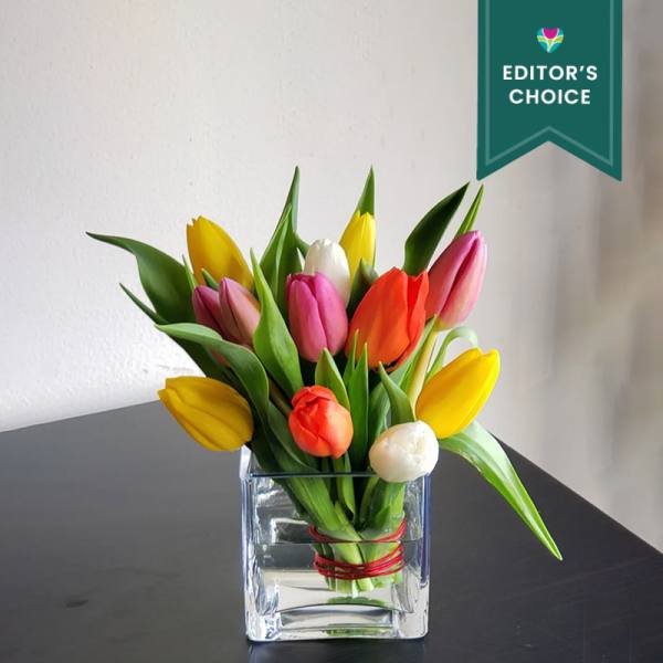 Colorful tulips arranged in a clear square glass vase